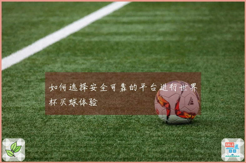 如何选择安全可靠的平台进行世界杯买球体验