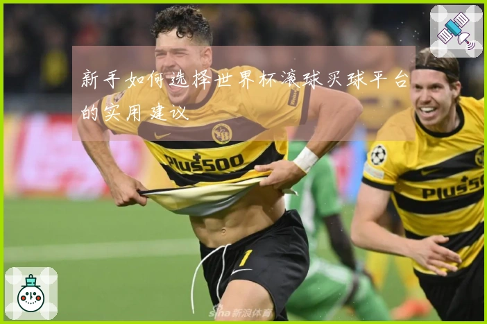 新手如何选择世界杯滚球买球平台的实用建议