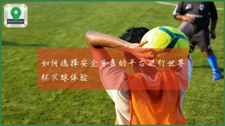 如何选择安全可靠的平台进行世界杯买球体验