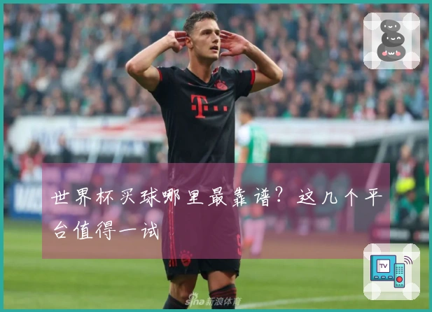 世界杯买球哪里最靠谱？这几个平台值得一试