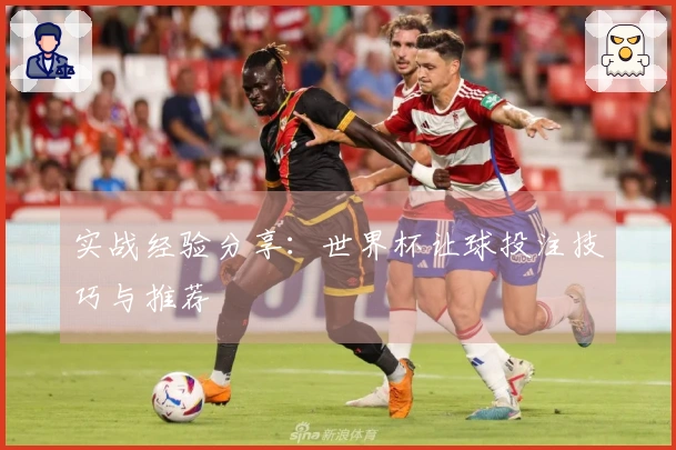 实战经验分享：世界杯让球投注技巧与推荐