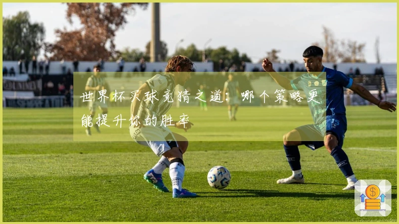 世界杯买球竞猜之道：哪个策略更能提升你的胜率