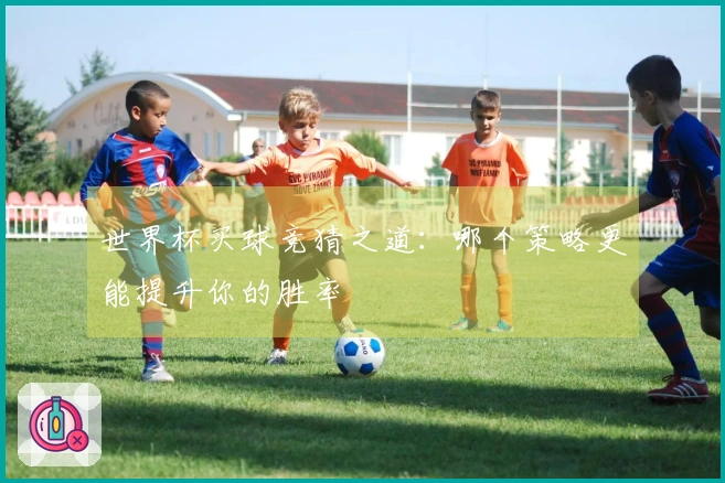 世界杯买球竞猜之道：哪个策略更能提升你的胜率