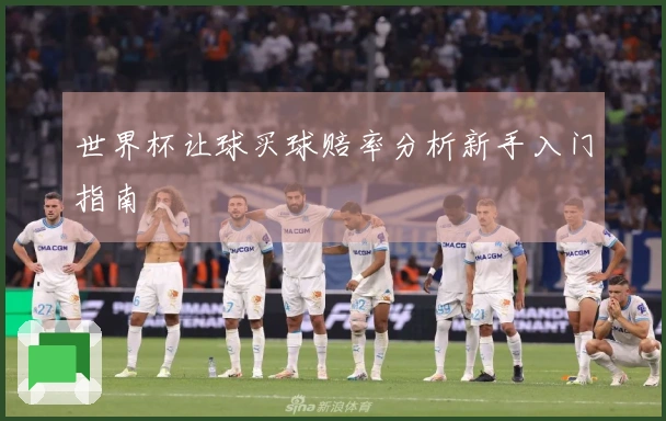 世界杯让球买球赔率分析新手入门指南