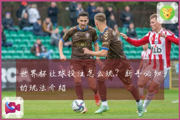 世界杯让球投注怎么玩？新手必知的玩法介绍